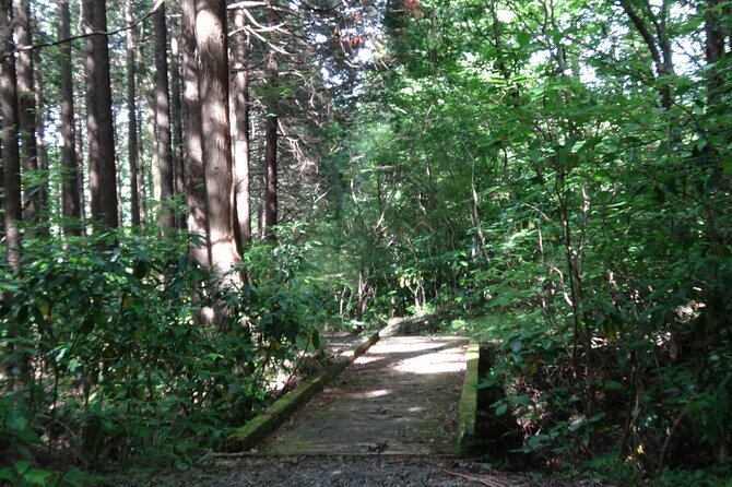 Easygoing Nature Walk in Hakone Tour - Transportation Details