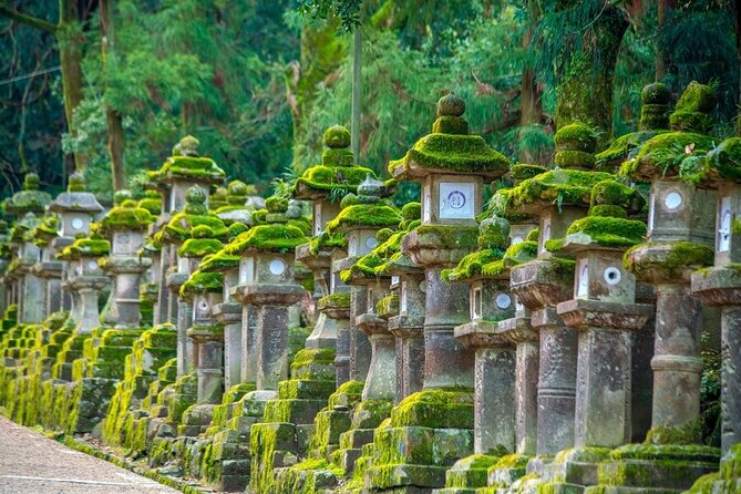 Explore the Best Spots of Arashiyama / Nara in a One Day Private Tour From Kyoto - Itinerary Details