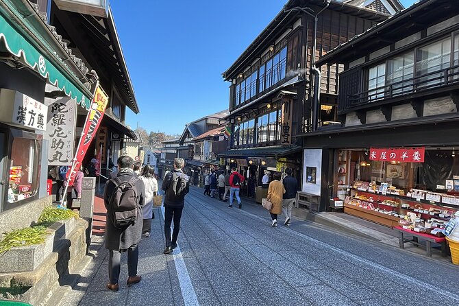 For Narita Airport Users: Layover or Transit Guided Private Tour - Accessibility Features