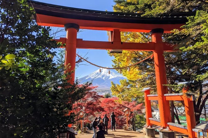 From Tokyo to Mount Fuji Instagram Worthy Full Day Tour - Customer Experiences