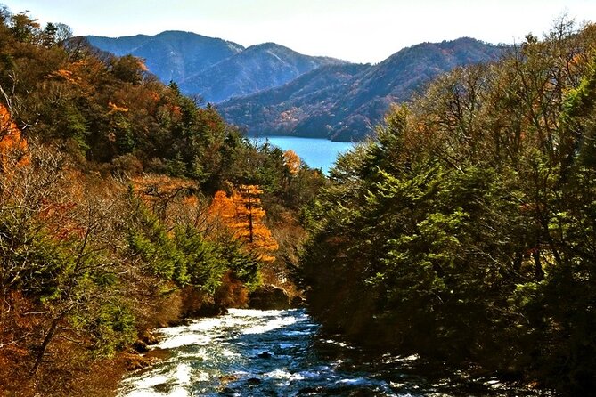 Full Day Private Tour & Sightseeing to Nikko(Eng Speaking Driver) - Booking Process & Reservation