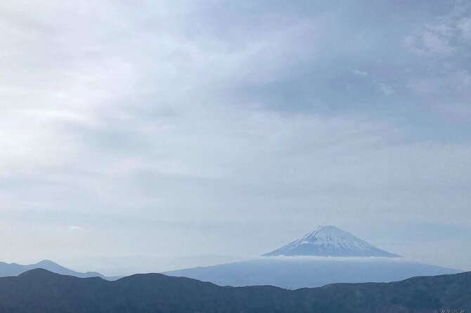 Full Day Private Tour to Mt Fuji by Luxury Vehicle - Booking and Availability