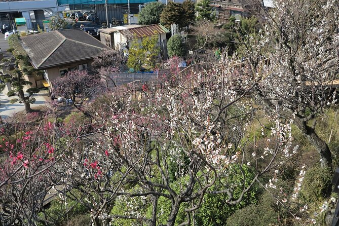 Historic Temple・Traditional Japanese Garden＆ Eating Around at a Shopping Strip - Culinary Delights at the Shopping Strip