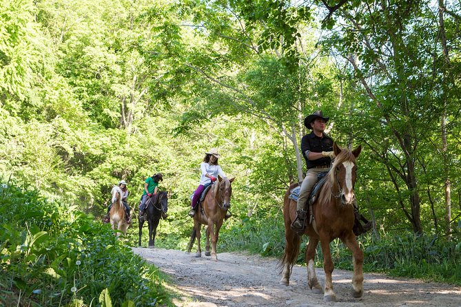 Horseback-Riding in a Country Side in Sapporo - Private Transfer Is Included - Scenic Route Highlights