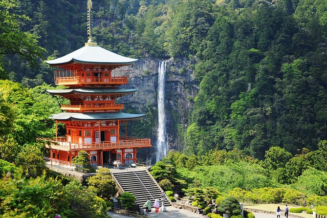 Kumano Kodo Pilgrimage Tour With Licensed Guide & Vehicle - What to Expect