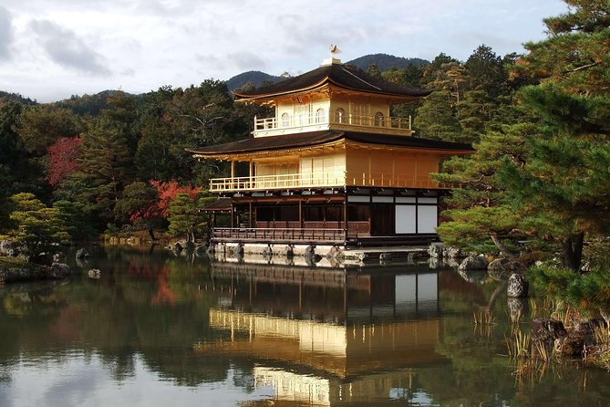 Kyoto Custom Half Day Tour - Pricing and Group Size