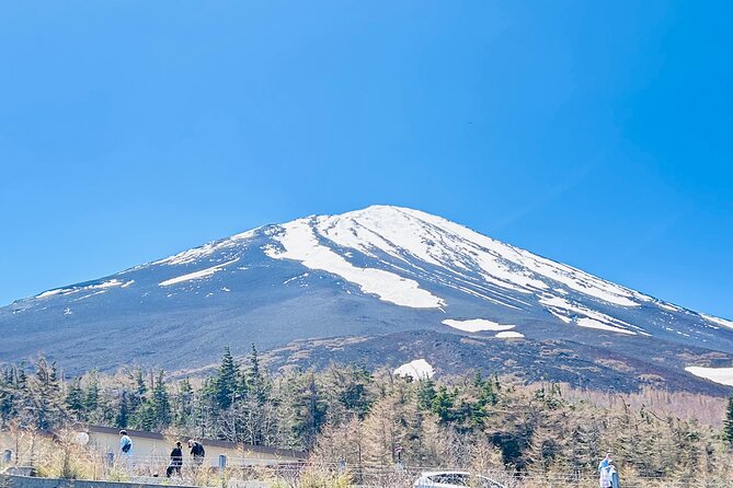 Mount Fuji Private One Day Tour With English Speaking Driver - Pickup and Accessibility Details