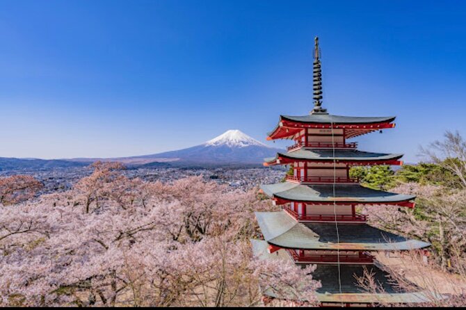 Mt.Fuji Hakone Private Tour With English Speaking Chauffeur - Meeting and Pickup Details