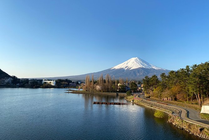 Mt Fuji Half-Day Tour By Car - Itinerary Details