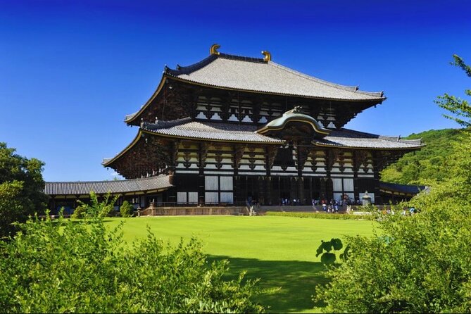 Nara, Todaiji Temple & Kuroshio Market Day BUS Tour From Osaka - Itinerary Highlights