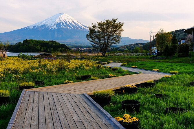 One Day Private Tour of Mt Fuji With English Speaking Driver - Included Amenities