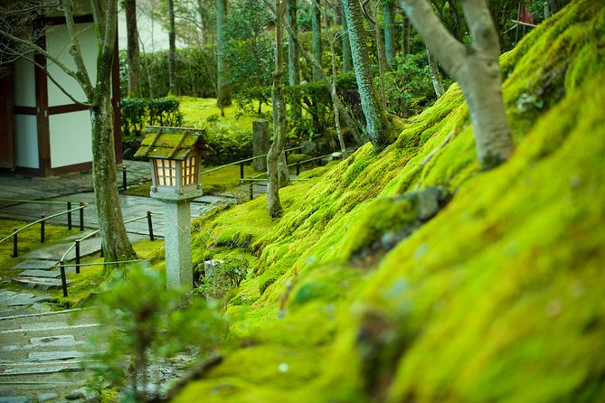 Private 3-hour Kyoto Arashiyama Rickshaw Tour - Highlights of the Experience