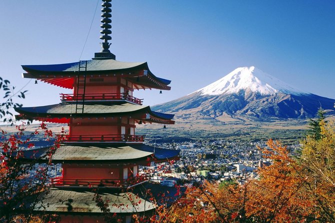 Private Transport Mt Fuji and Hakone 1 Day Trip - Included and Excluded Services