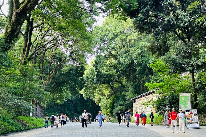 Sacred Morning Walk and Brunch Meiji Shrine - Tour Highlights