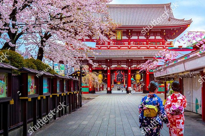 Starter Tour in Tokyo _Visiting Must-See Spots and Practical Guidance - Transportation and Accessibility