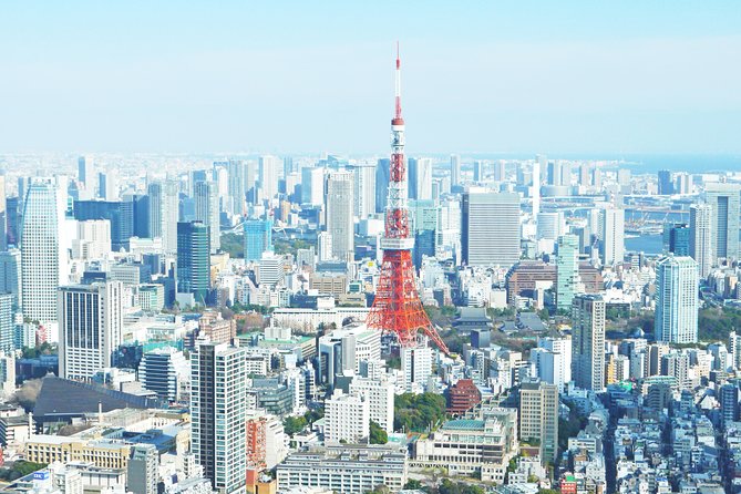 Tokyo 6 Hours Customized Private Tour - Inclusions and Benefits