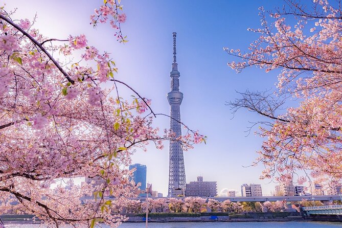 Tokyo Asakusa Half Day Walking Tour With Local Guide - Meeting Point and Directions