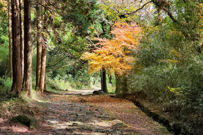 Walking Through the Aso Caldera, Historical Walk Along the Bungo Kaido - Booking Your Adventure