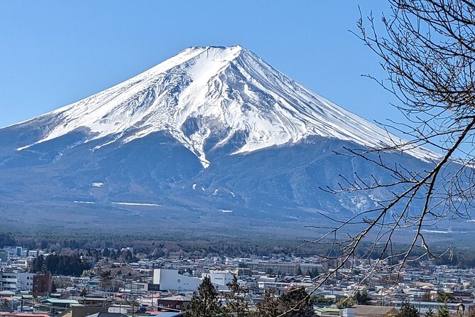 1 Day Private Mt Fuji & Lake Kawaguchiko English Speaking Driver - Traveler Experiences