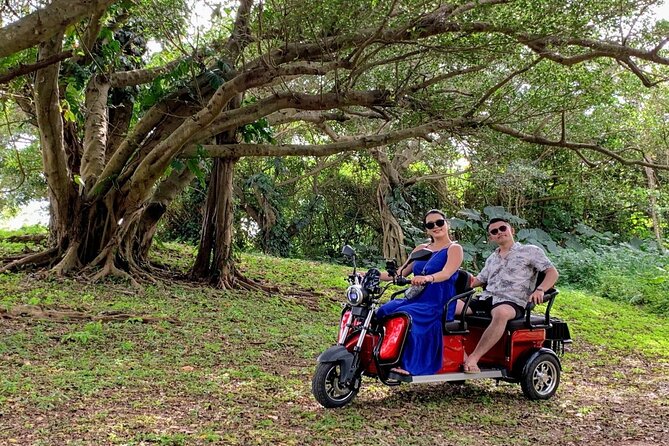 2h 3-Seater Electric Trike Rental (Ishigaki, Okinawa) - Booking and Cancellation Policy