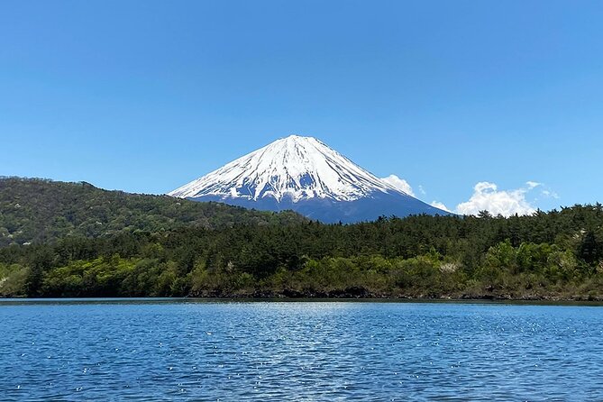 Aokigahara Nature Conservation Full-Day Hiking Tour - Health and Fitness Requirements