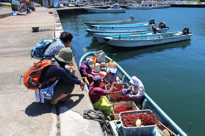 Explore Fishermen Island in Japan(Ise-Shima) - Accessibility Features