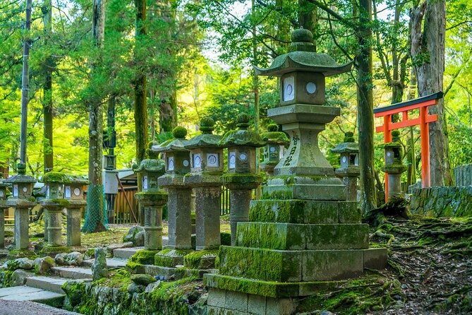 Explore the Best Spots of Arashiyama / Nara in a One Day Private Tour From Kyoto - Transportation and Accessibility