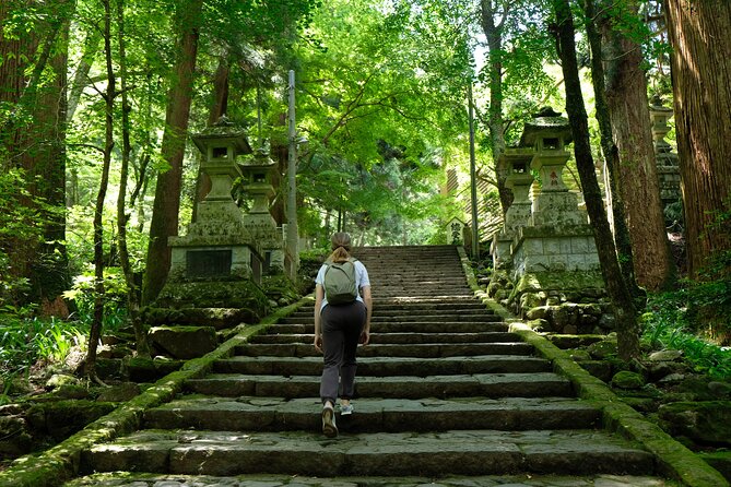 Forest Bathing in Temple and Enjoy Onsen With Healing Power - The Healing Power of Onsen