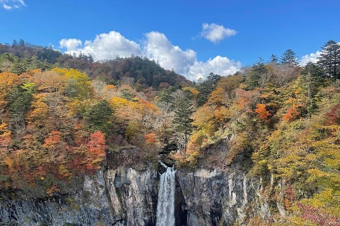 Full Day Nikko Private Tour With English Speaking Guide. - Pricing Information