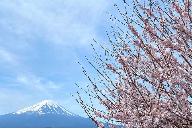 Full Day Private Tour to Mt Fuji by Luxury Vehicle - Cancellation Policy Details