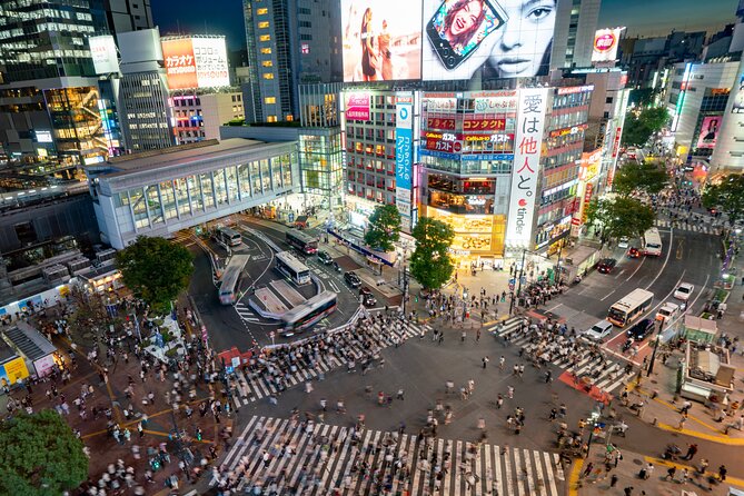 Full Day Tokyo Personalized Private Sightseeing W/English Driver - Tour Highlights and Itinerary