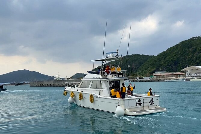 Great Whale Watching at Kerama Islands and Zamami Island - Pricing and Booking Information