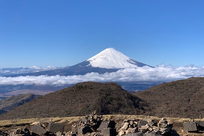 Hakone Private Two Day Tour From Tokyo With Overnight Stay in Ryokan - Meeting and Pickup Options