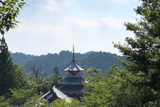 Historic and Natural Guided Hike in Yoshino - Cancellation and Refund Policies