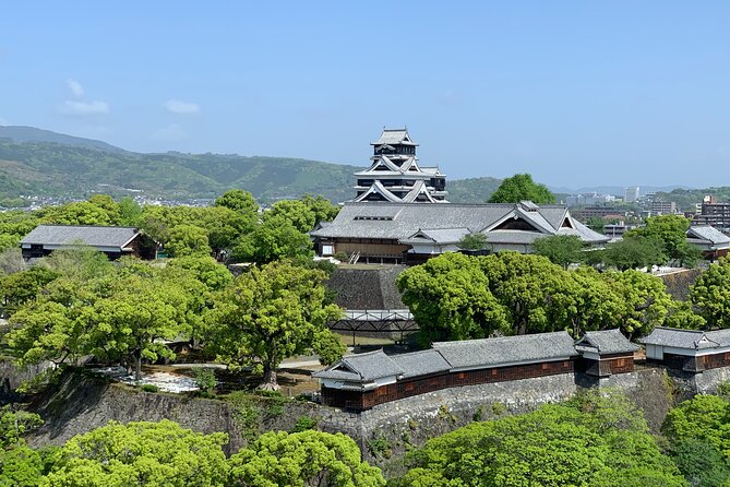 Kumamoto Castle Walking Tour With Local Guide - Accessibility Information