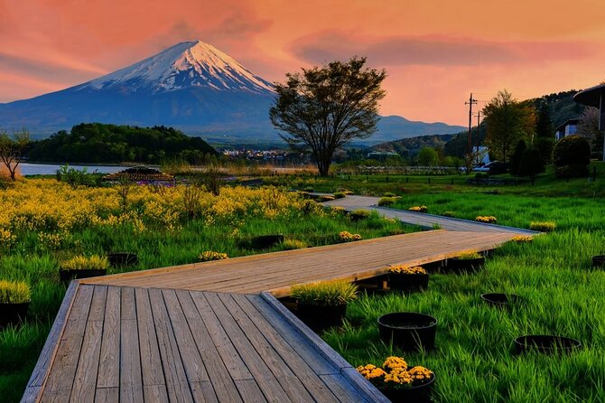 Mt. Fuji Area Tour Tokyo DEP: English Speaking Driver, No Guide - Cancellation and Refund Policy