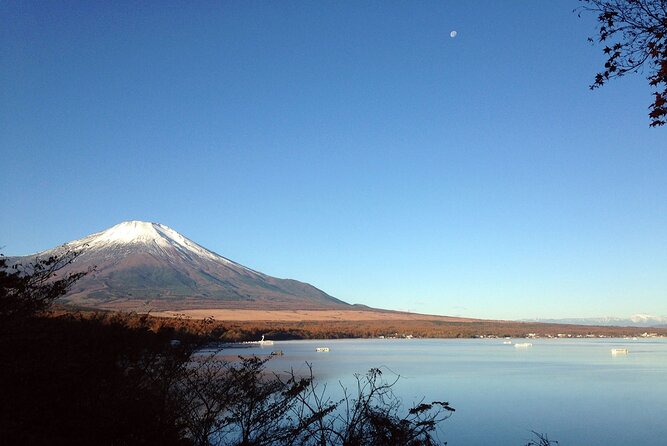 Mt Fuji Full-Day Tour By Car - Meeting and Pickup Details