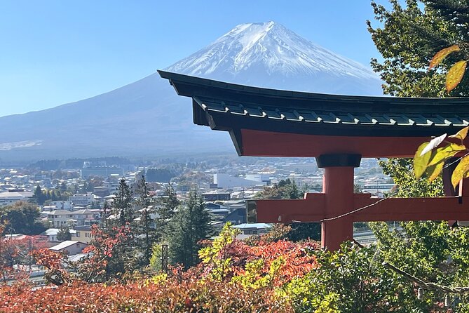 Mt.Fuji Hakone Private Tour With English Speaking Chauffeur - Pricing and Booking Information