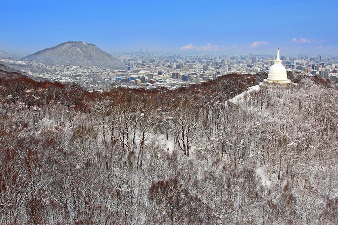 Mt. Moiwa Ropeway / Moriscar Ticket - Strict Non-Refundable Cancellation Policy