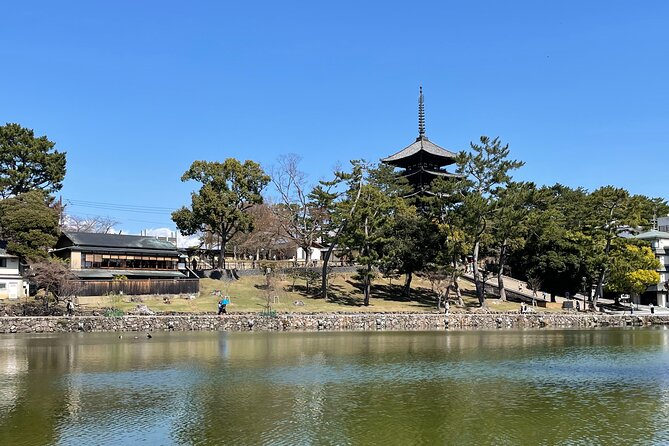 Nara Best Spots Private Tour With Licensed Guide (6h/8h) - What to Bring and Wear