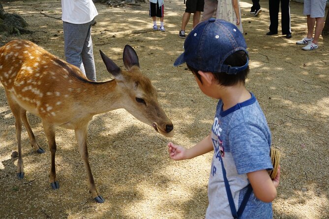 Nara Half Day Bus Tour From Kyoto - Booking and Pricing Information