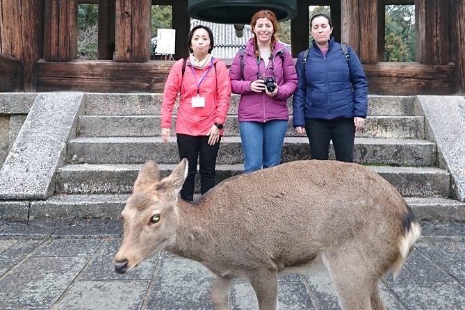 Nara Todaiji Lazy Bird Tour - Visitor Reviews and Testimonials