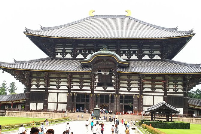 Relax in Nara: Deer Park, Todai-ji Temple and Merchants Town - Discovering Merchants Town