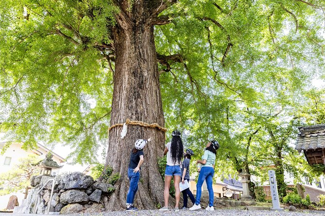 Rural Villages & Brewery Town: Private 1-Day Cycling Near Kyoto - Pricing and Group Size Options