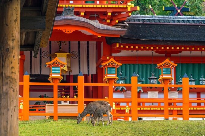 Tokyo to Kyoto and Nara One Full Day Private Tour - Dining Experience