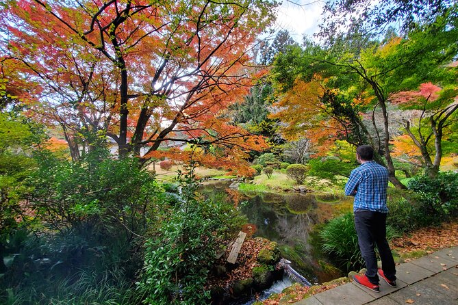 Walking Through the Aso Caldera, Historical Walk Along the Bungo Kaido - Tips for a Memorable Visit