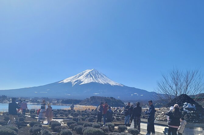 1 Day Private Mount Fuji Tour With English Speaking Driver - Cancellation Policy