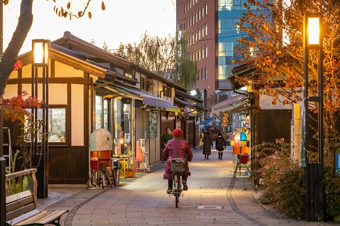 Full-Day Private Nikko Tour in Tokyo With English Speaking Driver - Guest Reviews and Feedback