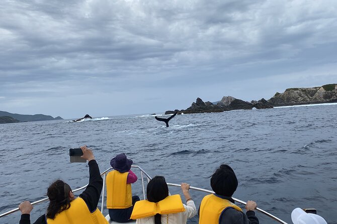 Great Whale Watching at Kerama Islands and Zamami Island - Reviews and Testimonials