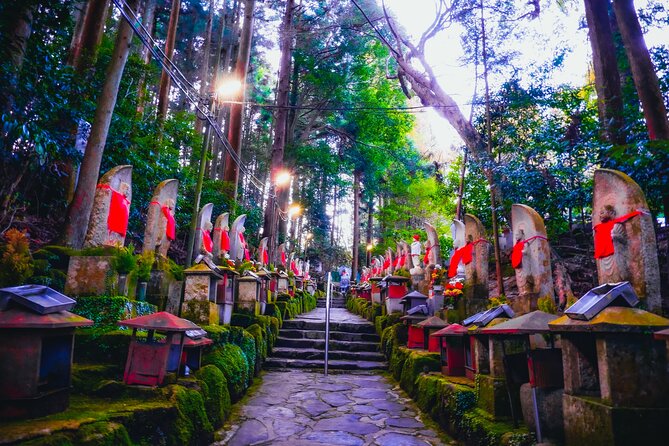 Hidden Gems of Osaka Kyoto Nara - Private Car Tour by Local Guide - What to Expect on the Tour